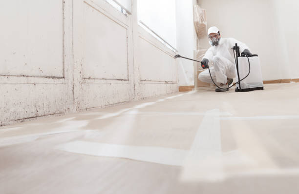 24/7 Emergency Black Mold Remediation experts in Gainesville, VA