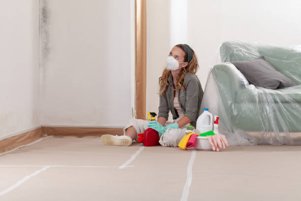 Reliable Black Mold Remediation contractor in Gainesville, VA by Car Mold Remediation